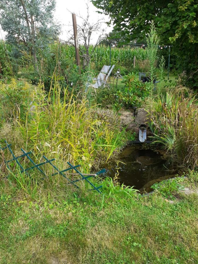 Le Gite Du Hibou Villa Ménil-Hubert-sur-Orne Екстериор снимка